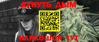 spice Кингисепп
