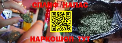 дживик Кандалакша